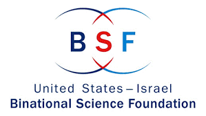 bsf logo