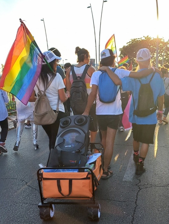 אפקטיביות בפעילות ארגוני להט"ב (צילמה: גילי הרטל)