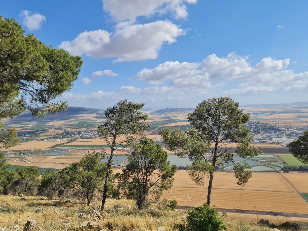 Environmental and Climate Law
