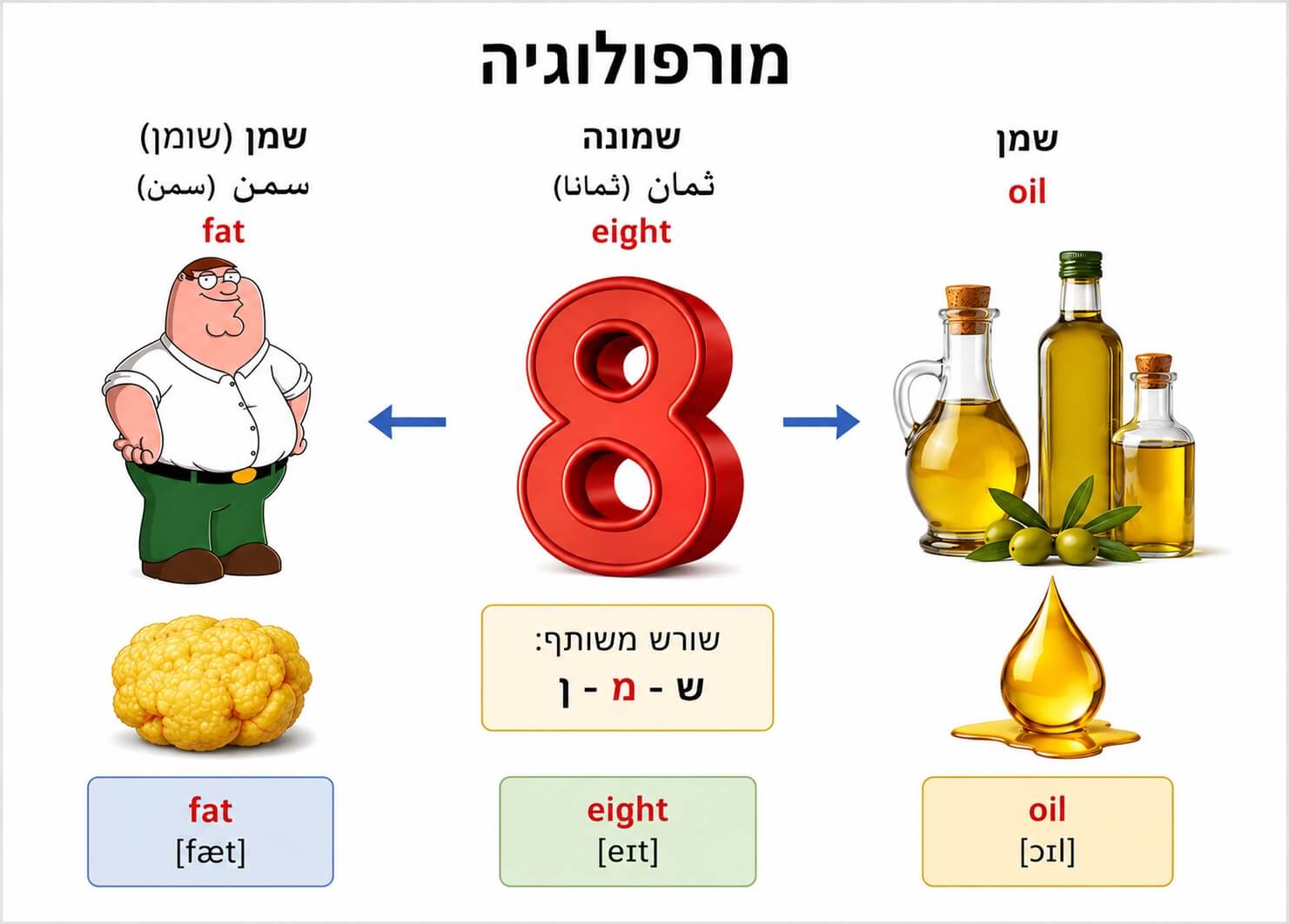 מורפולוגיה עברית תמונה