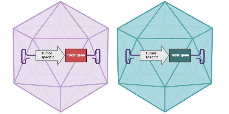 gene therapy