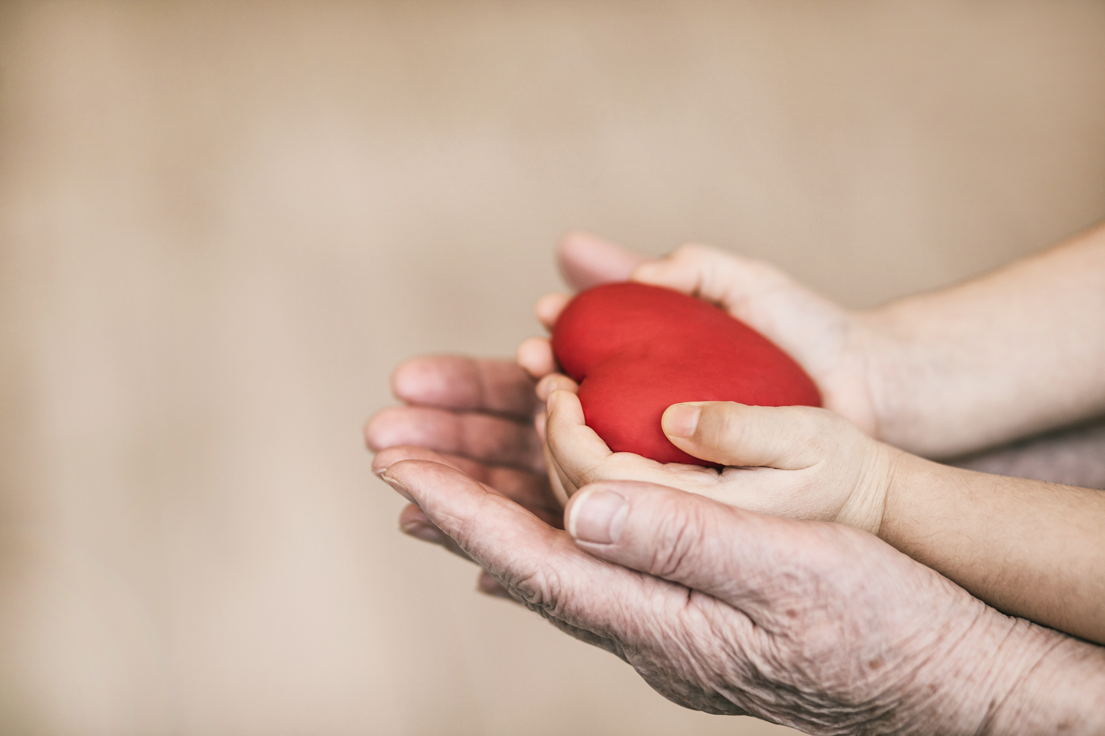 Hands holding a heart