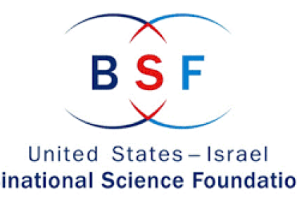 bsf logo