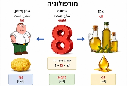 מורפולוגיה עברית תמונה