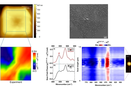 Nanospectroscopy and Nanoimaging