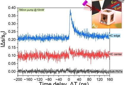 Localized Ultrafast Phenomena