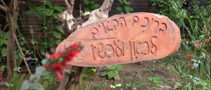 כאן ועכשיו שבים