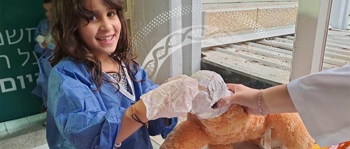 מרכז חוזק לדובים 