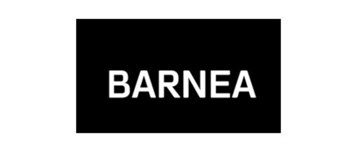 Barnea Law Office