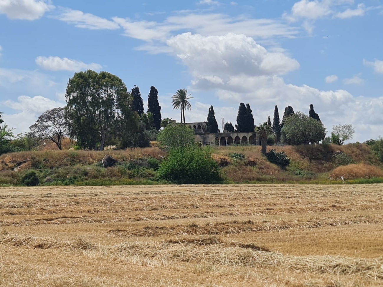 Tel Shalaf, Rehovot