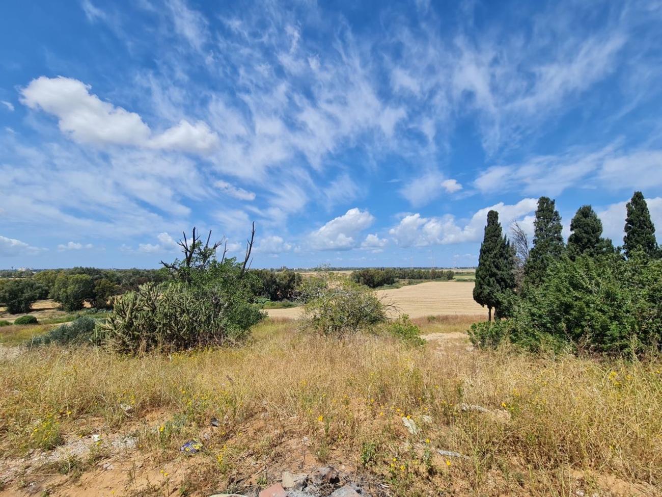 Tel Shalaf, Rehovot