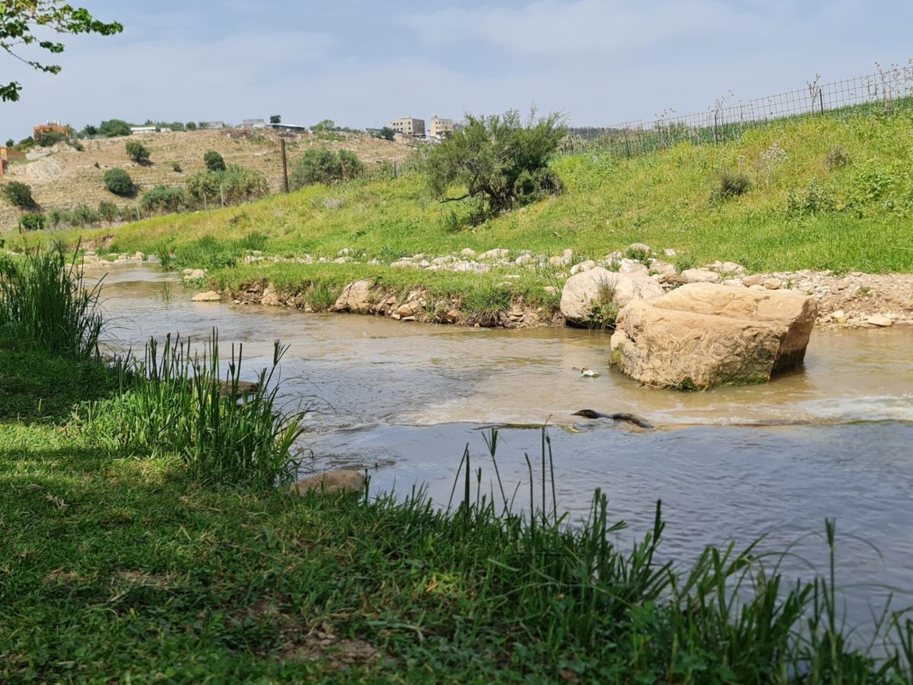 Restoring Nahal Tzipori near Ras Ali