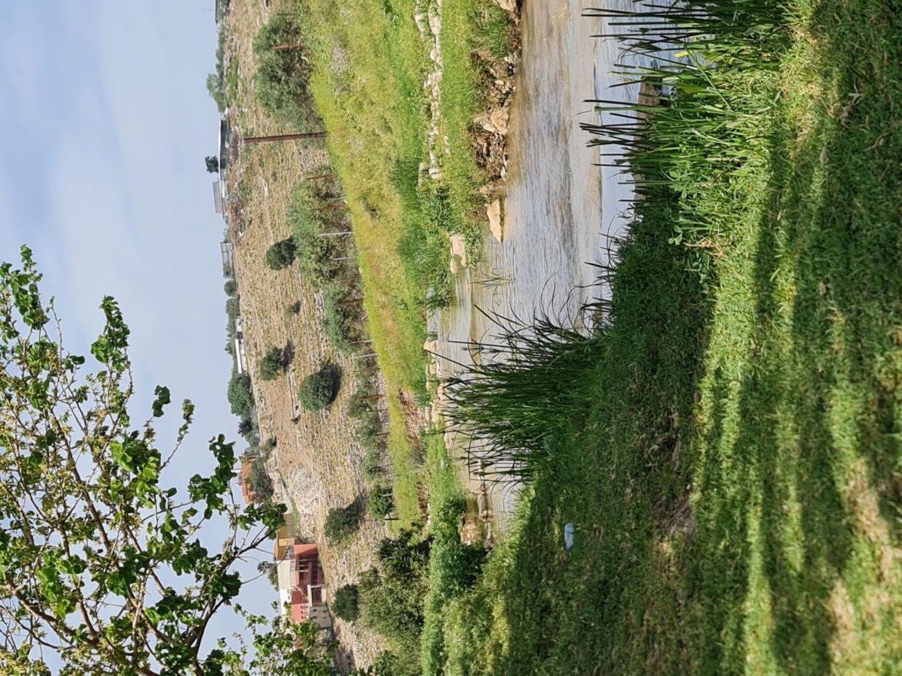 Restoring Nahal Tzipori near Ras Ali