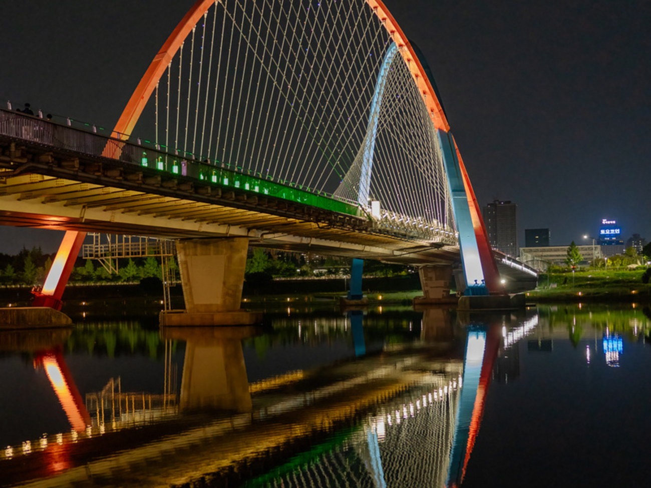 Daejeon Expo Bridge