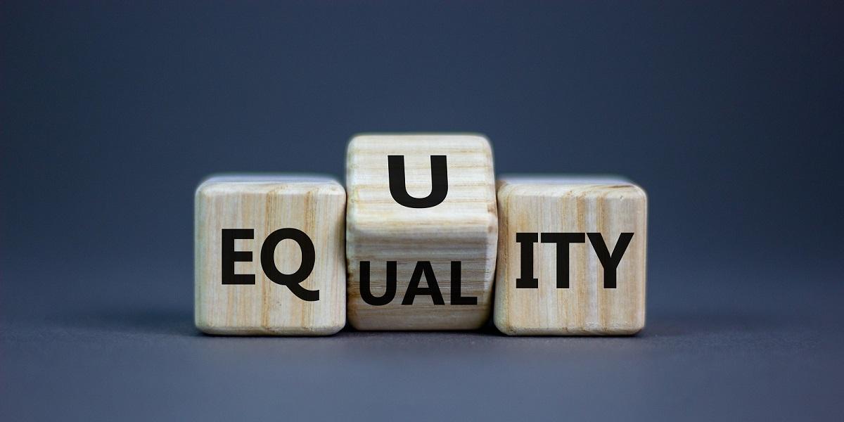 eqity equality wooden dice