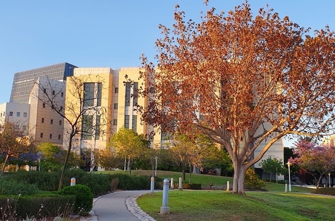 campus